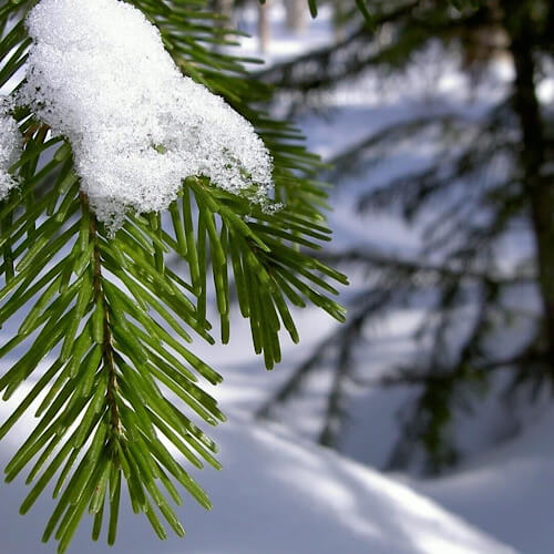 Зображення Радомишль